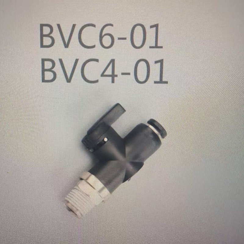 BVC4、6-01